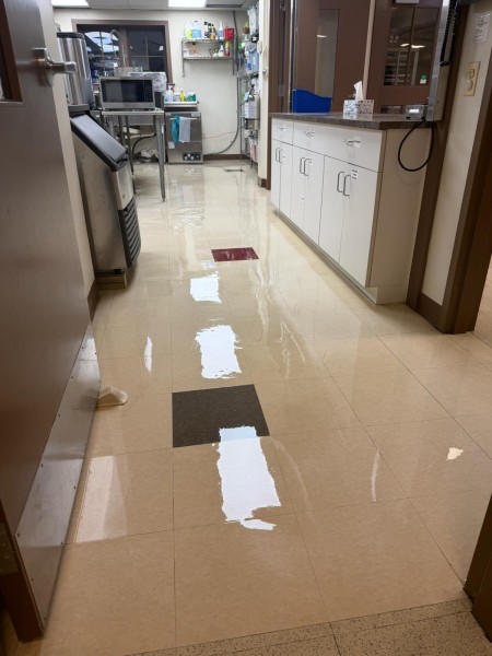 Floor Stripping & Waxing